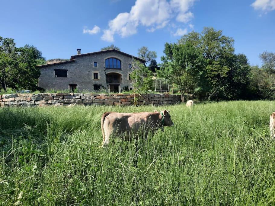 Ferienwohnung El Vespello El Gurb Exterior foto